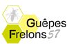 GUEPES-FRELONS-57