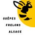 GUêPES FRELONS ALSAVE