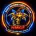 NORD MAYENNE GUêPE FRELON