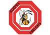 AGF ABEILLES GUEPES FRELONS
