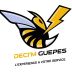 DECI'M GUEPES