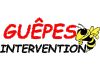 GUEPES INTERVENTION